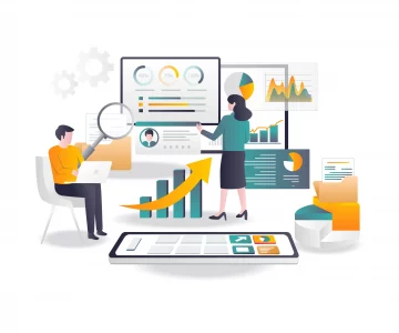 IT Audits & Business Process Optimization